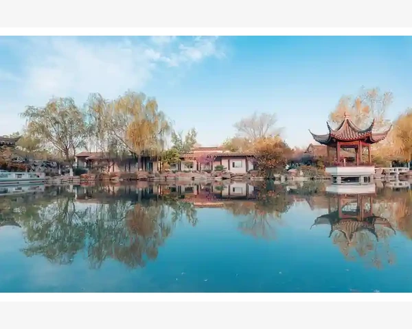 陈皮理气健脾化痰，传统中医智慧助你重拾健康